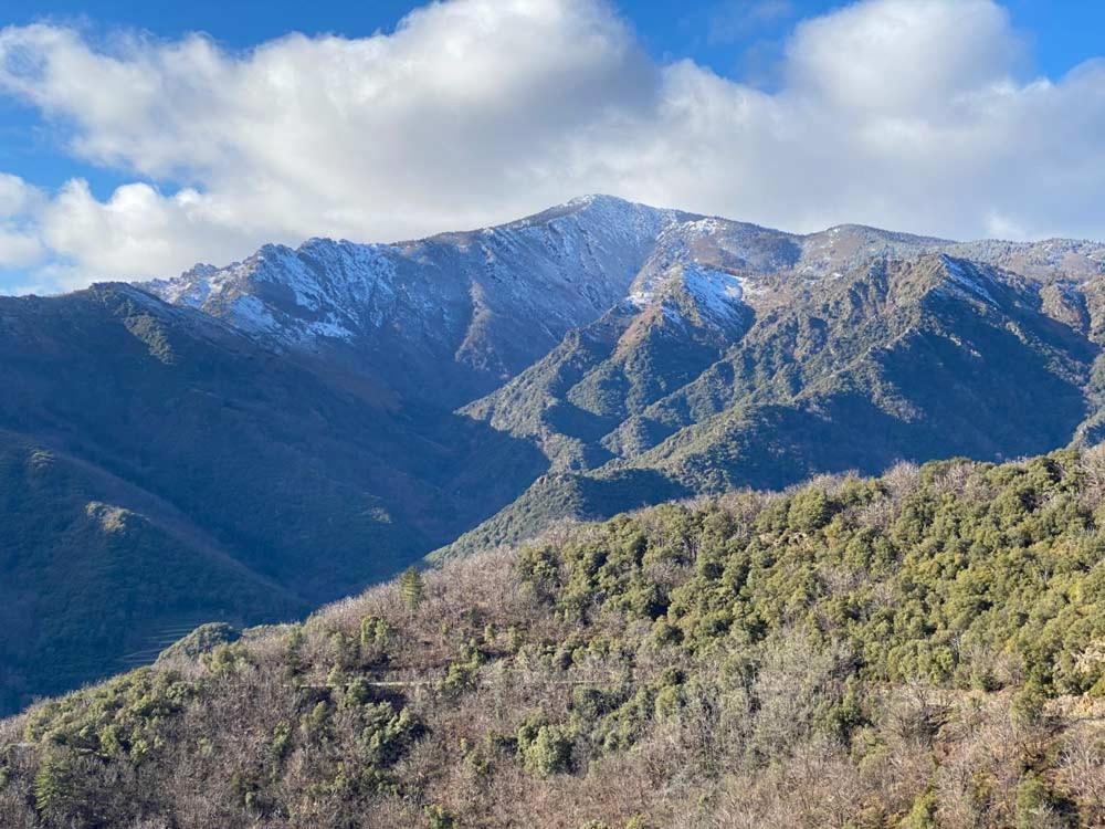 Maison Lgbt Des Monts Bleus Saint-Roman-de-Tousque Εξωτερικό φωτογραφία